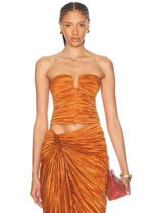 Cult Gaia Maria Top in Bourbon - Orange. Size 0 (also in ).