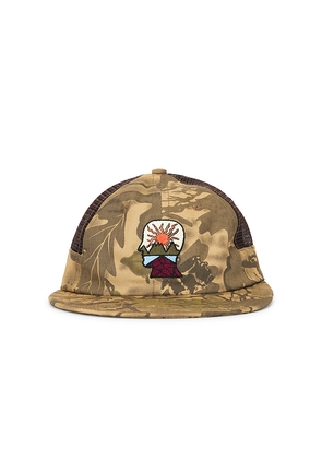 Brain Dead Mesh Panel Logohead Hat in Green.