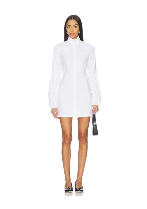 CAROLINE CONSTAS Jacqueline High Neck Ruffle Mini Shirt Dress in White. Size L. Also in M, S, XL, XS.