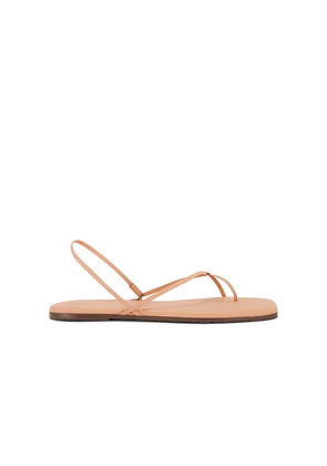 TKEES Square Toe Millie Sandal in Nude. Size 8. Also in 9.