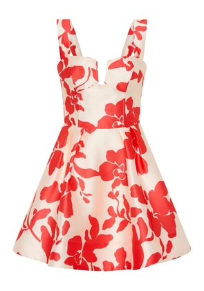 Rebecca Vallance floral mayari mini dress - Neutrals
