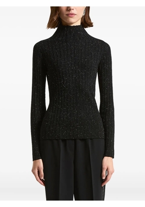 Peserico high-neck ribbed knitwear - Black