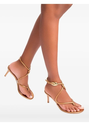 Gianvito Rossi 70mm Jungle Mamba knotted sandals - Gold