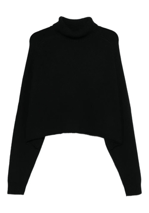 Lisa Yang Cathie roll-neck sweater - Black