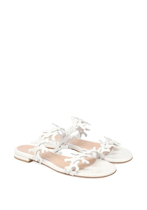 Gianvito Rossi 10mm Ocean coral-embellishments flat sandals - White
