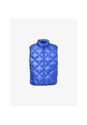 Mens Obey Compass Quilted Nylon Gilet