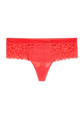 Wacoal Raffine Lace Tanga Thong - Red - M (UK12 / M)