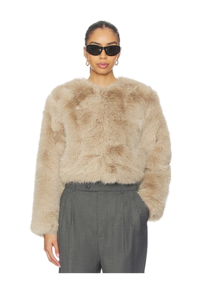 BLANKNYC Crop Faux Fur Coat in Beige. Size XS. Also in L, M.