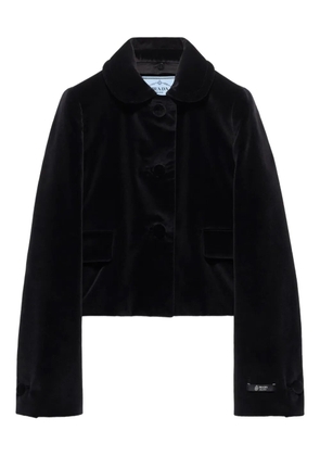 Prada flap-pocket detachable-collar jacket - Black