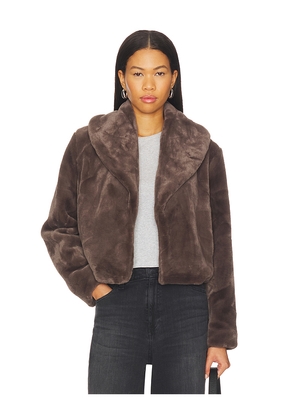 BLANKNYC Cropped Faux Fur Coat in Grey. Size L. Also in M, S.
