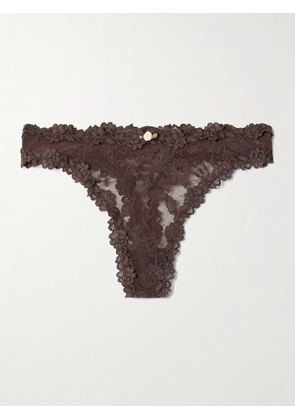 SKIMS - Stretch Lace Thong - Espresso - Brown - XXS,XS,S,M,L,XL,2XL,3XL