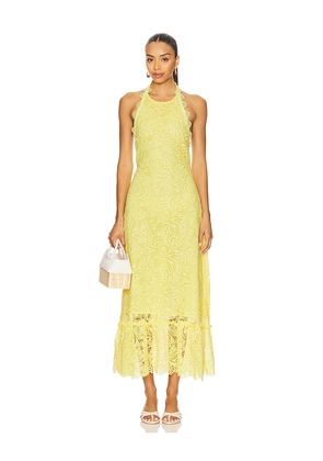 Waimari Dovima Maxi Dress in Lemon. Size S. Also in L, XS.
