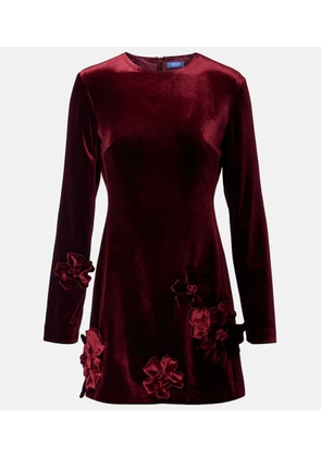 Leo Lin Aliza floral-applique velvet minidress