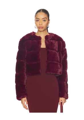 BLANKNYC Cropped Faux Fur Coat in Burgundy. Size L. Also in M, S, XS.
