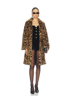 Adrienne Landau Heritage Coat in Brown. Size L. Also in M, S.