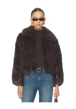 HEARTLOOM Lana Jacket in Brown. Size L. Also in M, S, XS.