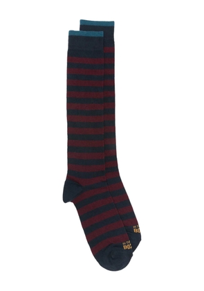 In The Box striped socks - Blue