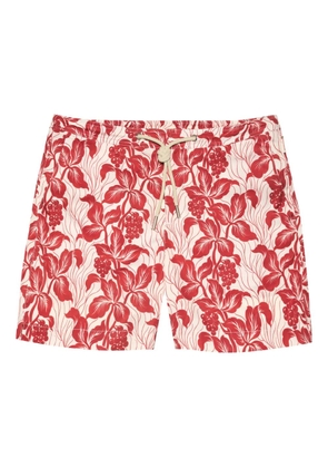 Orlebar Brown Bulldog Drawcord Petralis patterned swim shorts - Red
