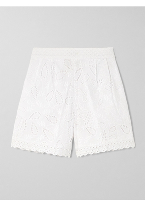 Saloni - Paige Scalloped Broderie Anglaise Cotton Shorts - White - UK 4,UK 6,UK 8,UK 10,UK 12,UK 14,UK 16