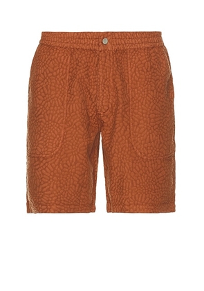 OAS Terracotta Turleo Nico Shorts in Red - Rust. Size XL/1X (also in ).