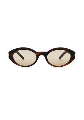 Saint Laurent Oval Sunglasses in Havana & Brown - Brown. Size all.