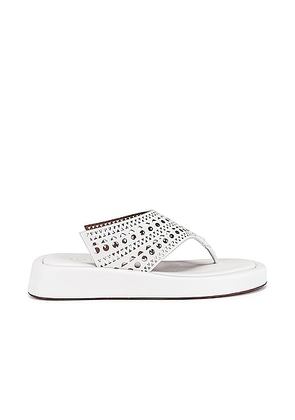 ALAÏA Vienne Thong Platform Sandals in Blanc Casse - White. Size 40 (also in ).