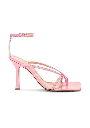 Bottega Veneta Stretch Ankle Strap Sandal in Blossom - Pink. Size 36.5 (also in 39).