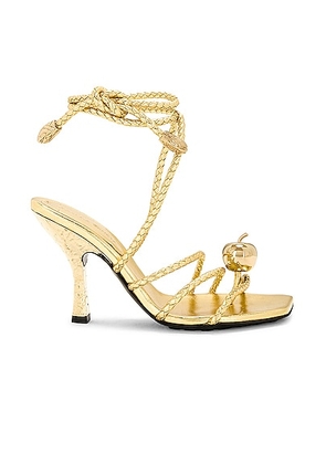 Bottega Veneta Adam Lace Up Sandal in Gold - Metallic Gold. Size 36.5 (also in 37, 38.5, 39.5, 40).