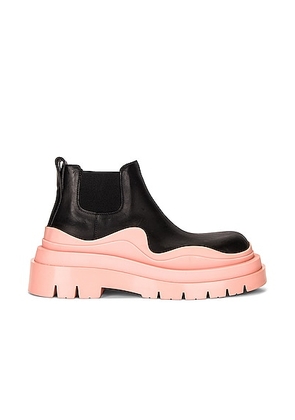 Bottega Veneta The Tire Ankle Boots in Black & Peachy & Transparent - Black,Pink. Size 39.5 (also in ).