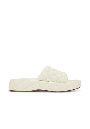 Bottega Veneta Stretch Padded Sandals in White - White. Size 36 (also in 37, 38, 41).