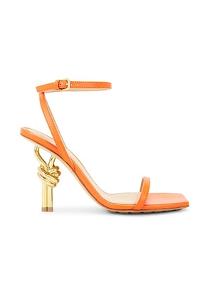 Bottega Veneta Knot Sandal in New Orange - Orange. Size 36.5 (also in 36, 40, 41).