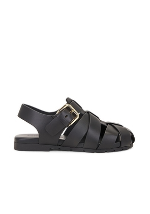 Bottega Veneta Alfie Flat Sandal in Black - Black. Size 37 (also in 36, 39).
