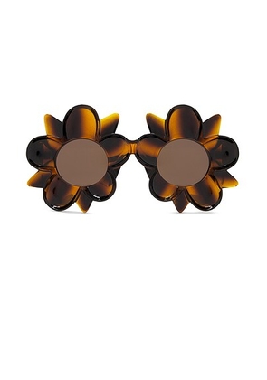 Bottega Veneta Flower Sunglasses in Havana & Brown - Brown. Size all.