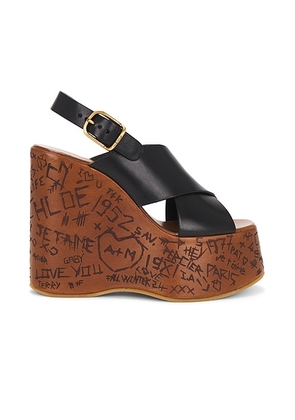 Chloe Maxime Wedge in Black - Black. Size 41 (also in ).