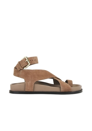 A.EMERY Jalen Sandal in Caribou Suede - Beige. Size 35 (also in 36, 37, 40, 41).