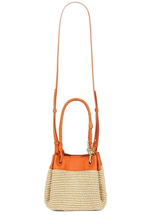 Bottega Veneta Small Parachute Raffia Bag in Natural  Burned Orange  & Muse Brass - Neutral,Orange. Size all.