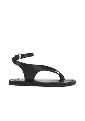 A.EMERY Millar Sandal in Black - Black. Size 36 (also in 35, 37, 38, 39, 40, 41).