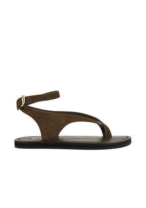 A.EMERY Millar Sandal in Hazel Suede - Olive,Brown. Size 35 (also in 36, 37, 38, 39, 40, 41).