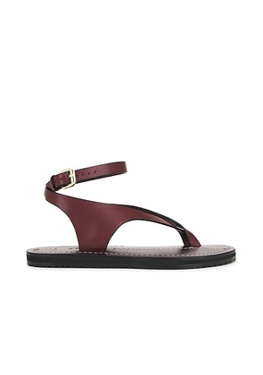 A.EMERY Millar Sandal in Merlot - Burgundy. Size 36 (also in 35, 37, 38, 39, 40, 41).