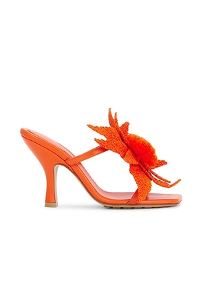 Bottega Veneta Adam Sandal in New Orange - Orange. Size 36.5 (also in 36, 37.5, 38, 38.5, 39, 40, 41).