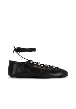 Alexander Wang Vyolette Lace Up Flat in Black - Black. Size 36.5 (also in 36, 37.5, 38, 38.5, 39).