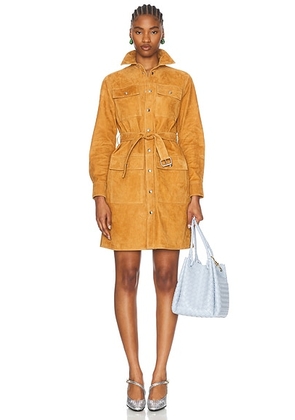 Bottega Veneta Leather Belted Dress in Peanut Butter - Tan. Size 34 (also in ).