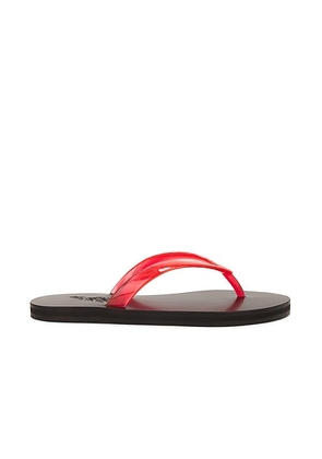 Ancient Greek Sandals Saionara Jelly Flip Flop in Clear Red - Red. Size 37 (also in 36, 38, 39, 40).
