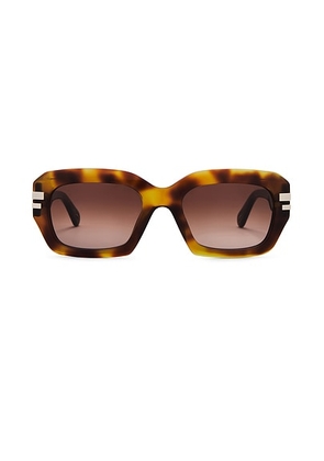 Chloe West Sunglasses in Havana & Brown - Brown. Size all.