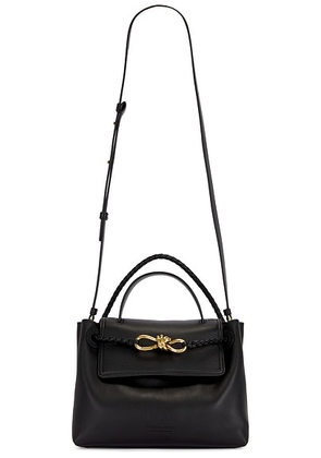 Bottega Veneta Small Ciao Ciao Bag in Black & Muse Brass - Black. Size all.