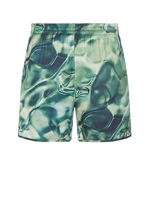 Blue Sky Inn Shorts in Green - Green. Size M (also in L, S, XL/1X).