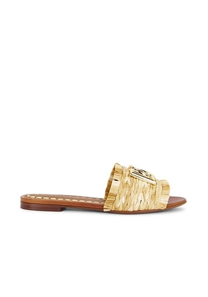 Dolce & Gabbana Raffia Slides in Wood & Natural - Neutral. Size 37.5 (also in 37, 40, 41).