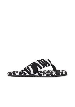 THE ATTICO Indie Flat Thong Sandal in White & Black - White,Black. Size 36.5 (also in 36, 37, 39, 40).