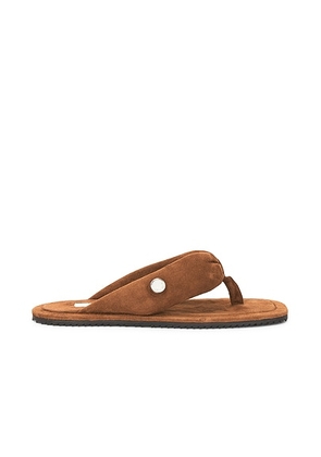 THE ATTICO Indie Flat Thong Sandal in Pale Brown - Brown. Size 36.5 (also in 36, 38.5, 39, 39.5, 40, 41).