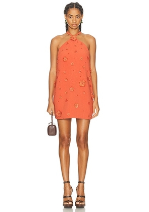 Alexis Milaa Dress in Terracotta Raffia - Orange. Size XS (also in S).
